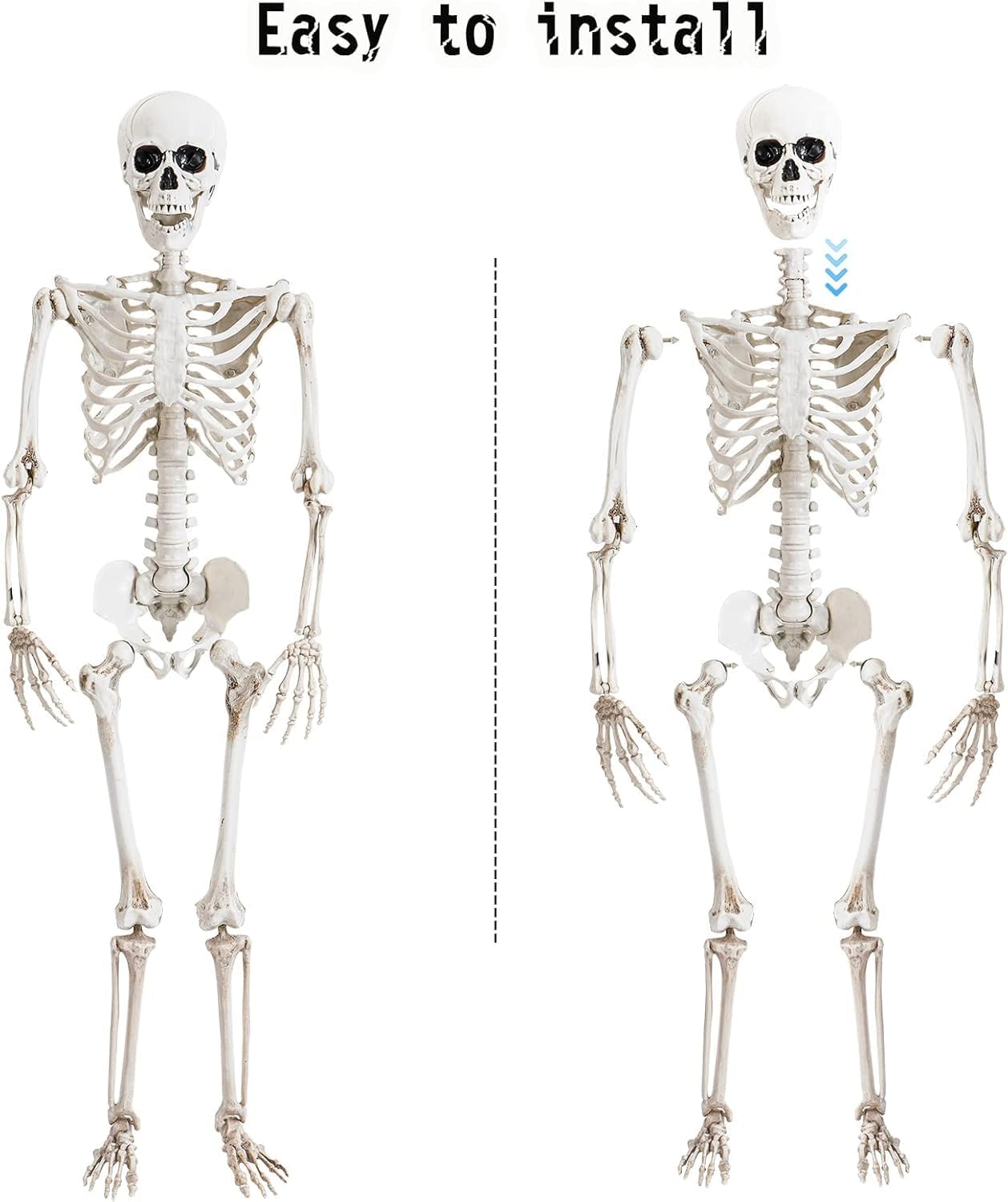 36" Posable Halloween Skeleton – Movable Joints for Party & Yard Decor