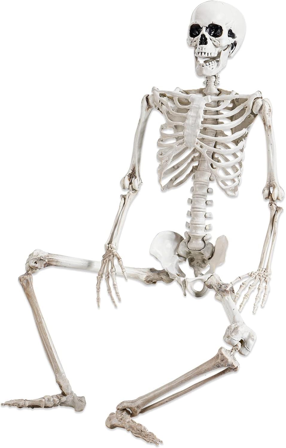 36" Posable Halloween Skeleton – Movable Joints for Party & Yard Decor