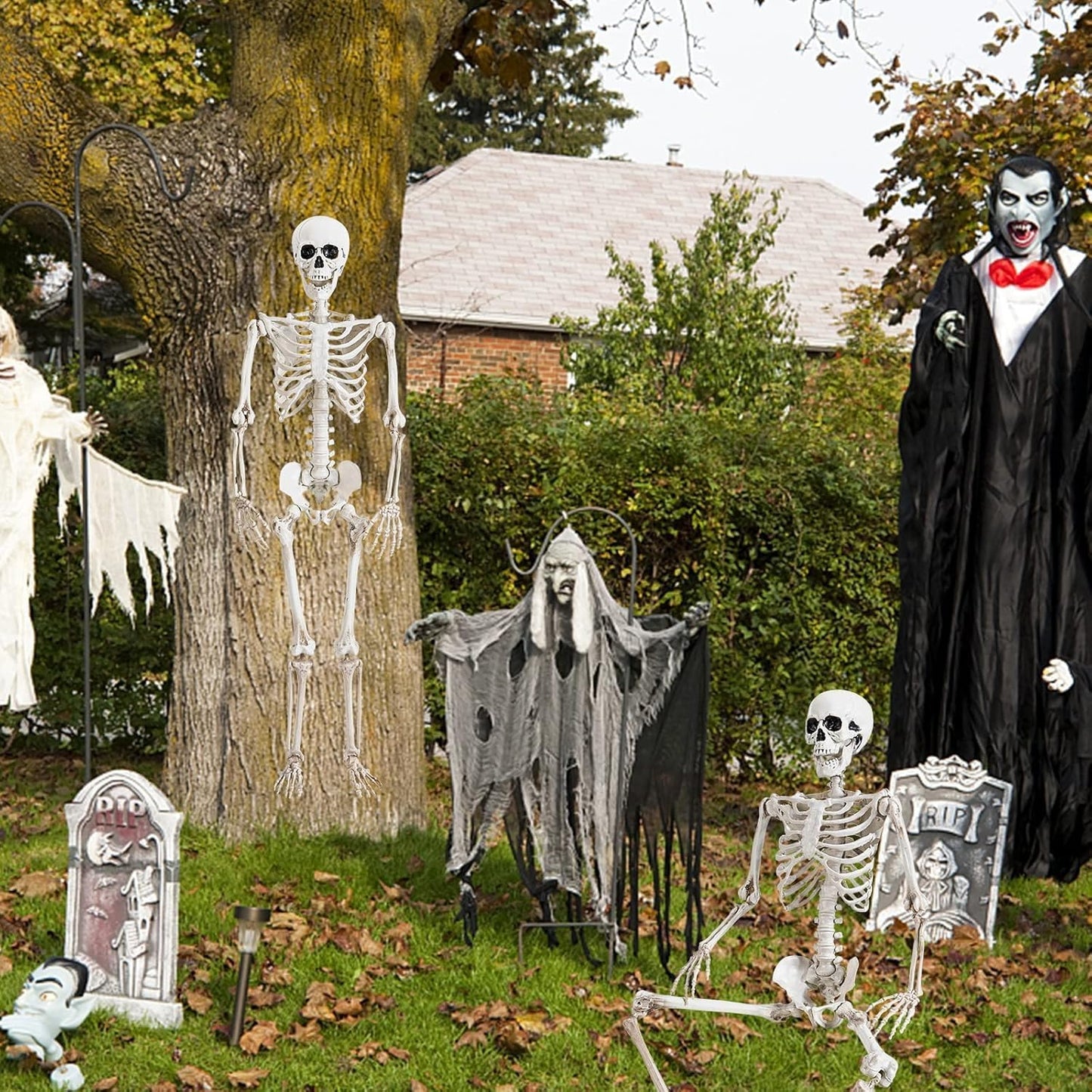 36" Posable Halloween Skeleton – Movable Joints for Party & Yard Decor