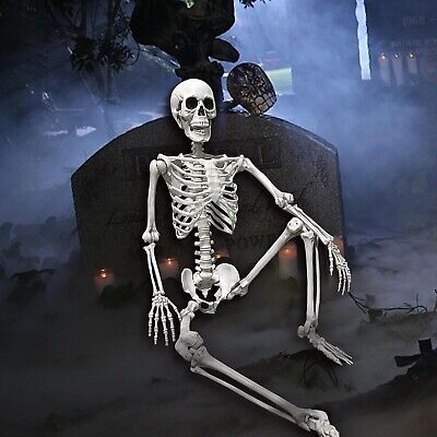 36" Posable Halloween Skeleton – Movable Joints for Party & Yard Decor