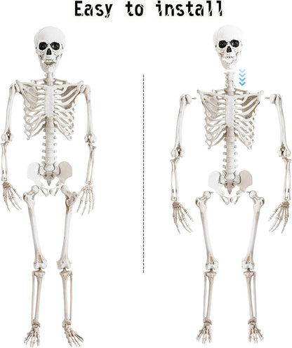 36" Posable Halloween Skeleton – Movable Joints for Party & Yard Decor